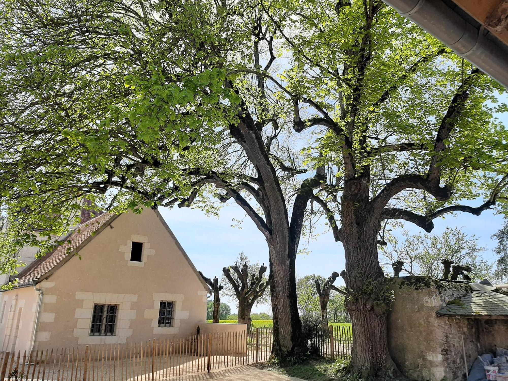 Le Puits Renaissance - Gites De Caractere Et Piscine Chauffee Chambourg-sur-Indre Ngoại thất bức ảnh